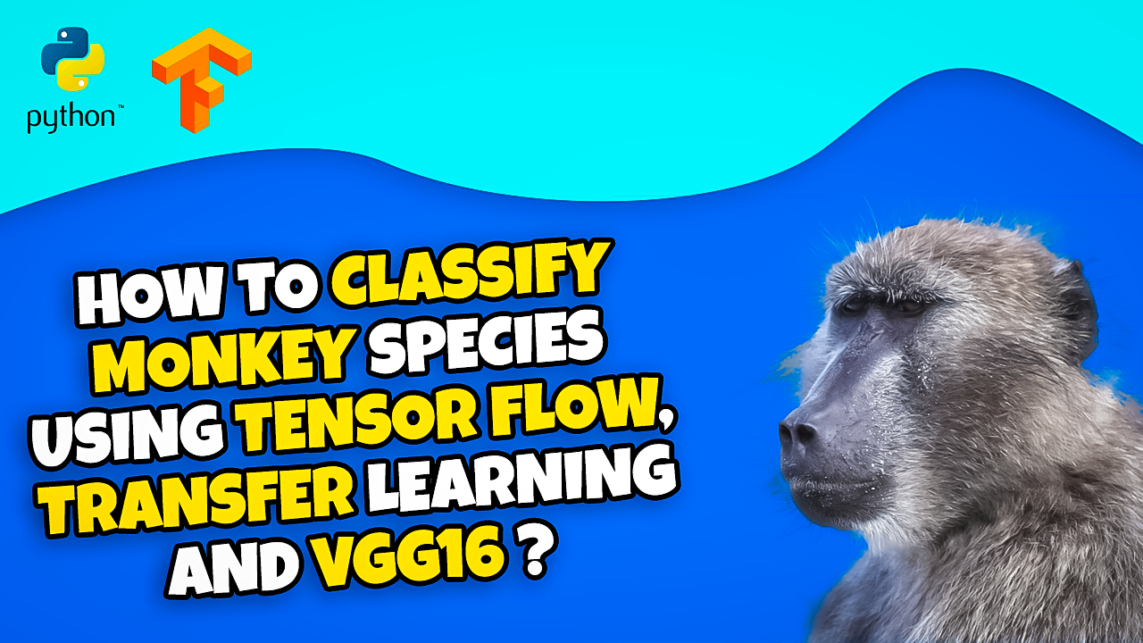How to classify monkeys images using convolutional neural network , Keras tuner hyper parameters , and transfer learning ? (part4) 5 Transfer Learning Fine-tune a Pretrained VGG16