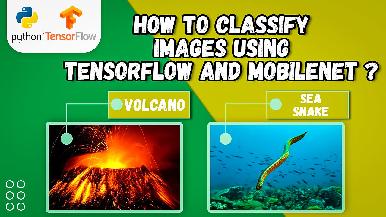 MobileNet Image Classification in Python: Complete Keras & OpenCV Tutorial 10 MobileNet Image Classification