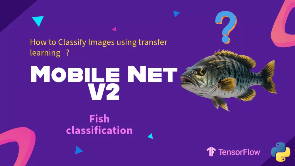 How To Actually Fine-Tune MobileNetV2 | Classify 9 Fish Species