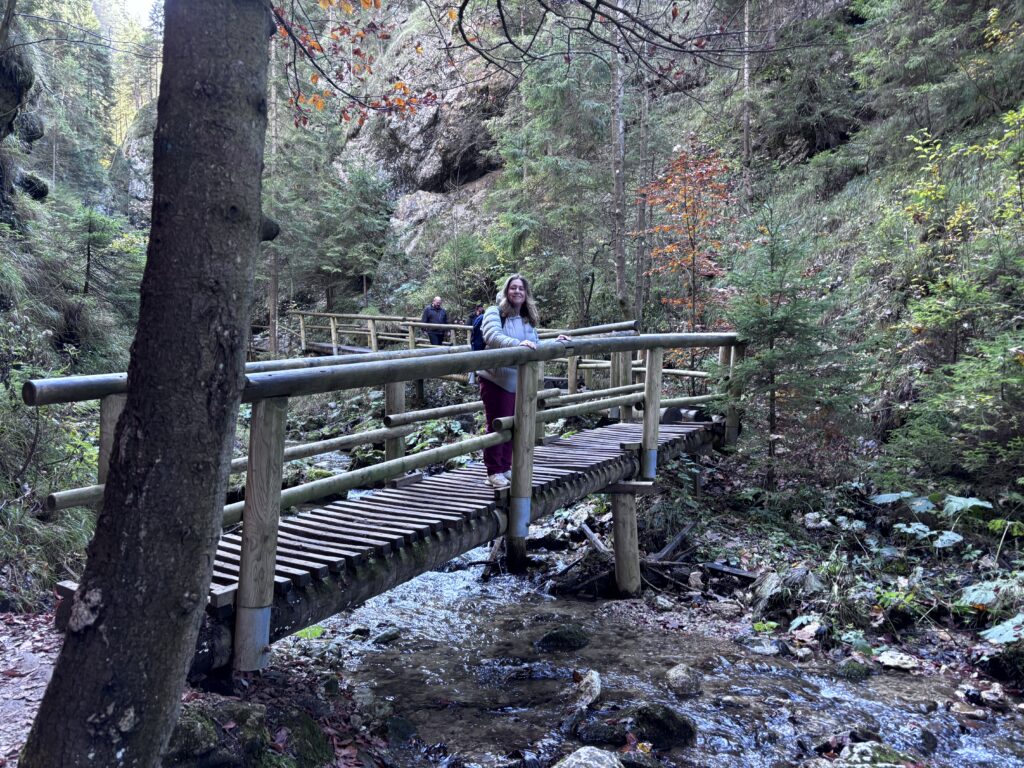 קניון דיירי סלובקיה