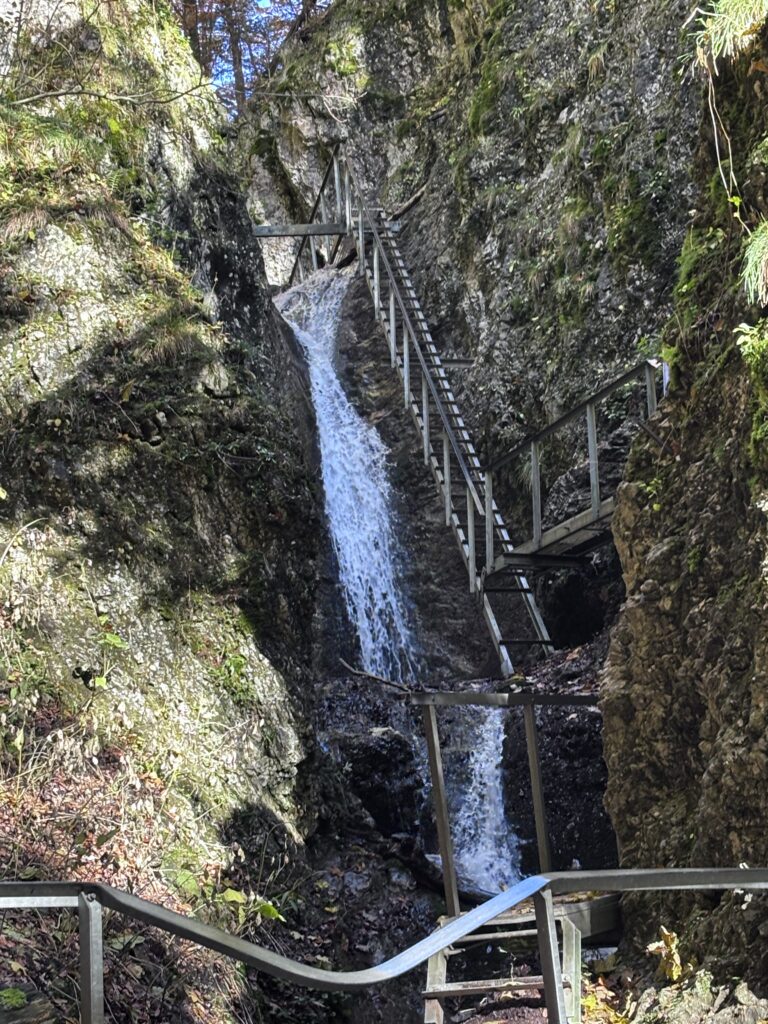 קניון דיירי סלובקיה