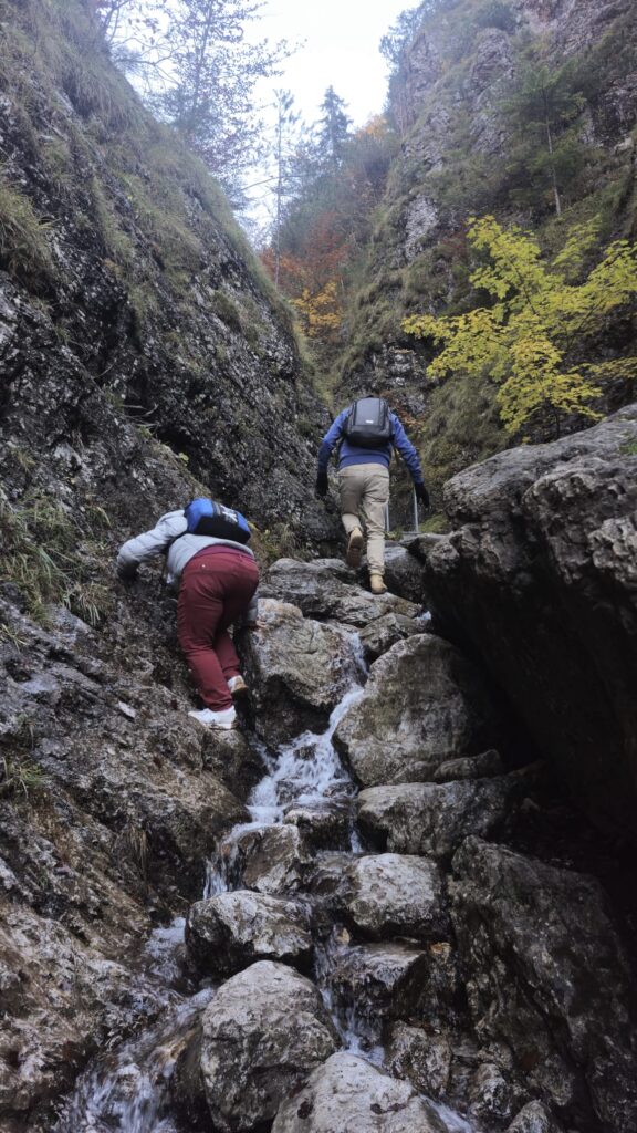 קניון דיירי סלובקיה