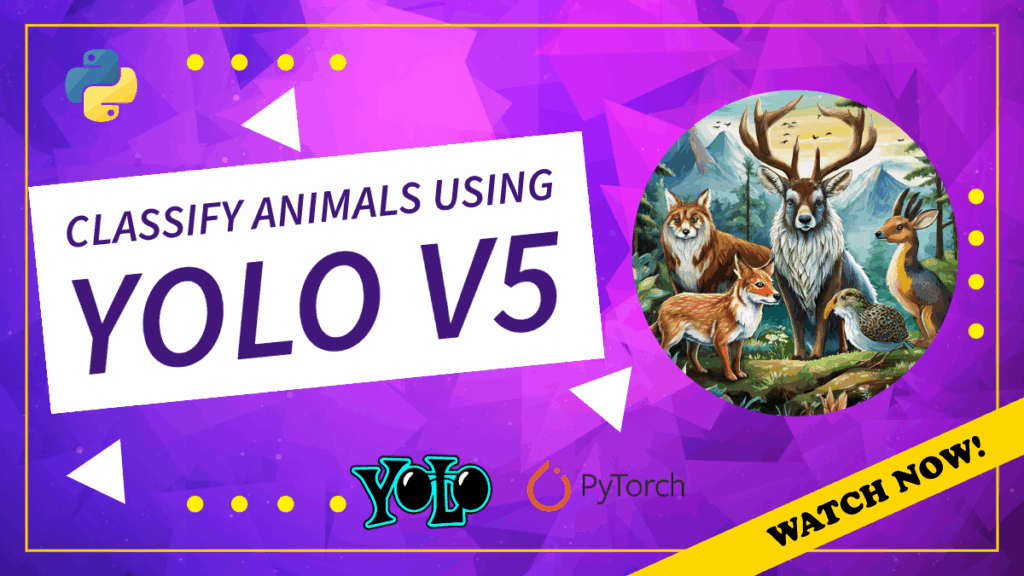 YOLOv5 image classification