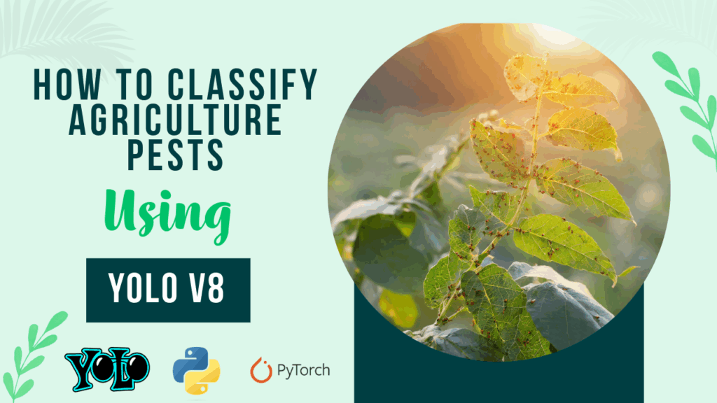 YOLOv8 classification