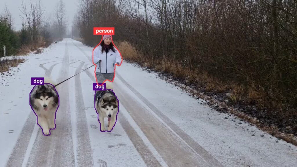 Video segmentation result 