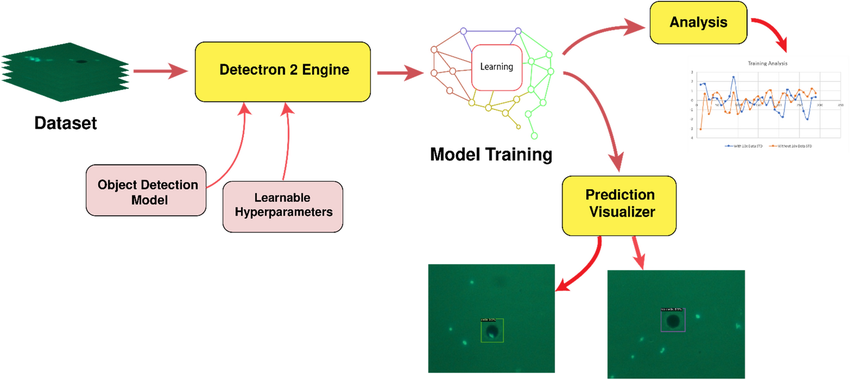 detectron2 custom dataset training