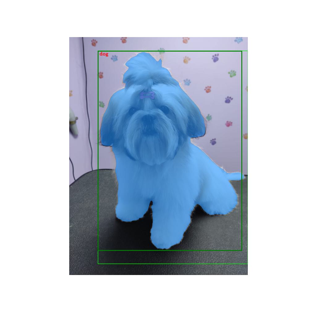 Result segmented image