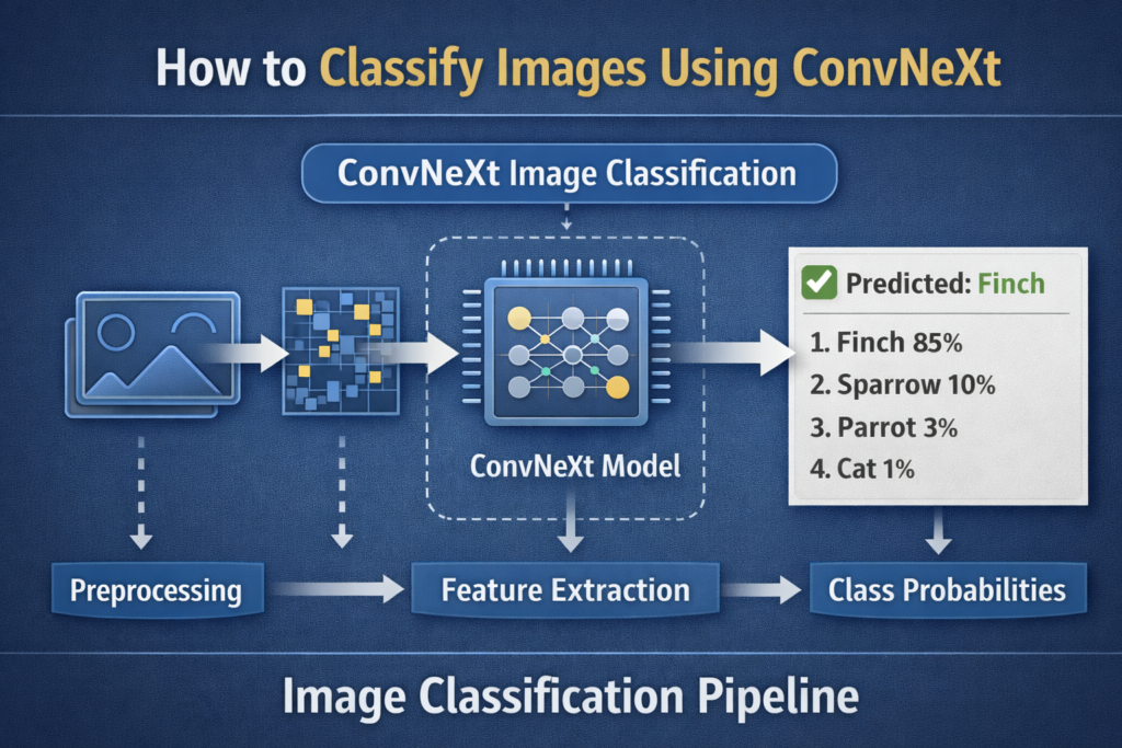 ConvNeXt Image Classification: How To Classify Images