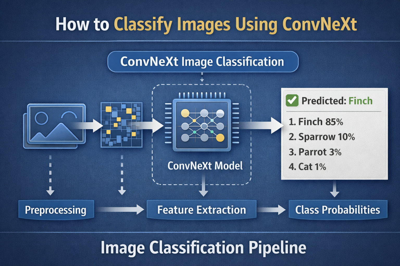 ConvNeXt Image Classification: How To Classify Images