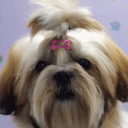 How to Use AI Face Animation for Lifelike Portraits 7 Dori d19