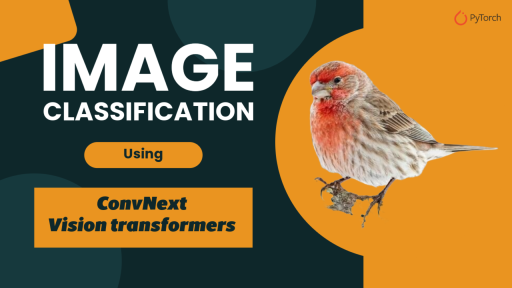 ConvNeXt image classification