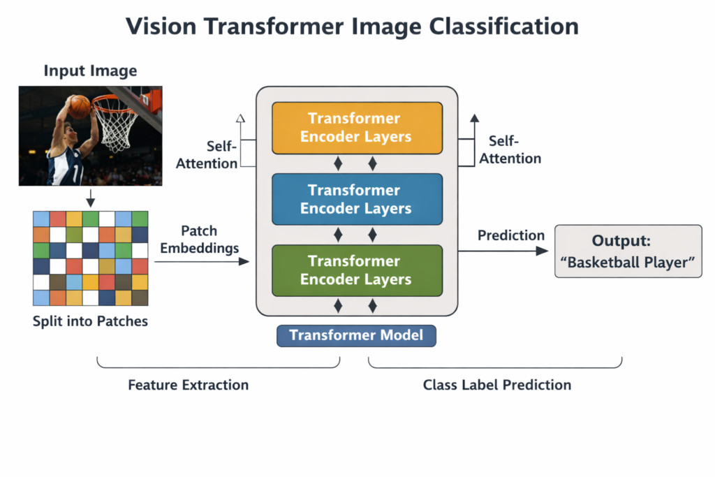 How to Use Vision Transformer for Image Classification 4 Vision Transformer Image Classification