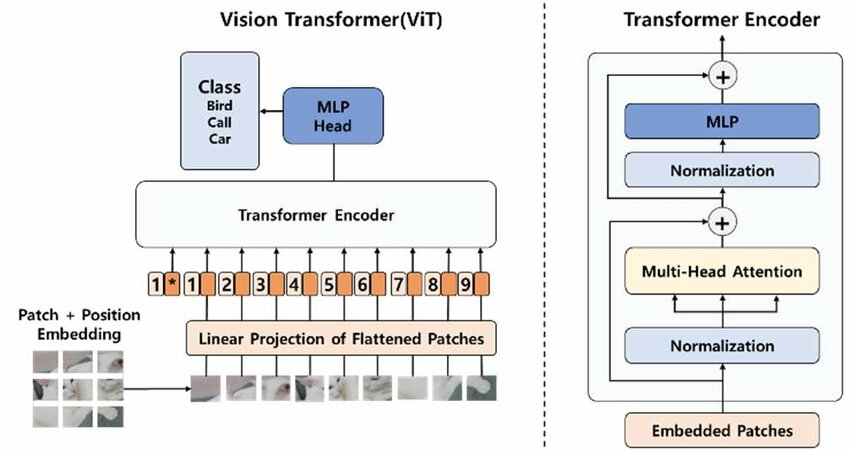 Vision transformer architecture