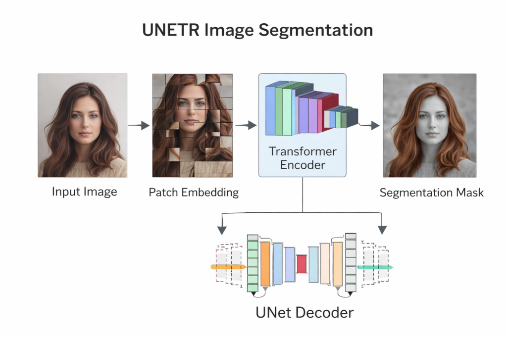 Hair Segmentation Using UNETR Transformers In Python (2026)