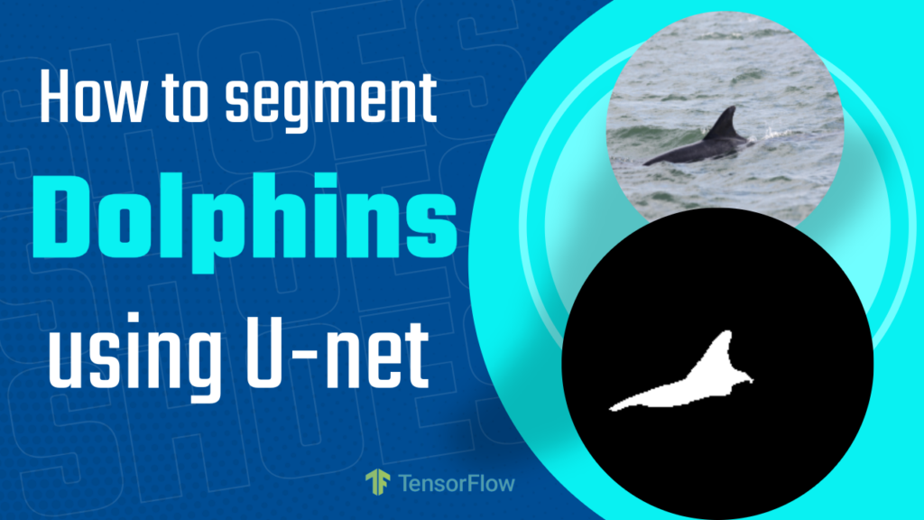 How to UNet Image Segmentation TensorFlow on Custom Data | Dolphin Segmentation 5 unet image segmentation tensorflow