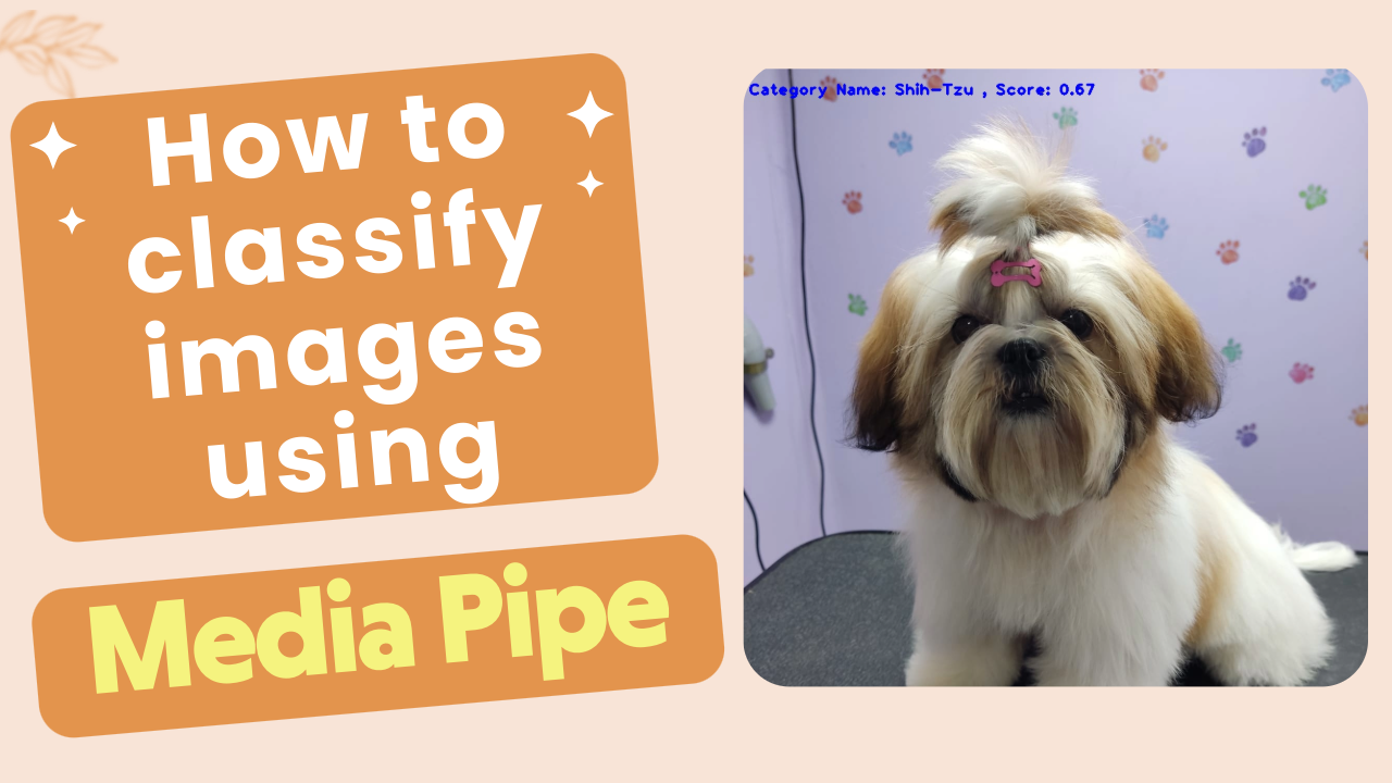 MediaPipe Image Classifier Python With EfficientNet-Lite0
