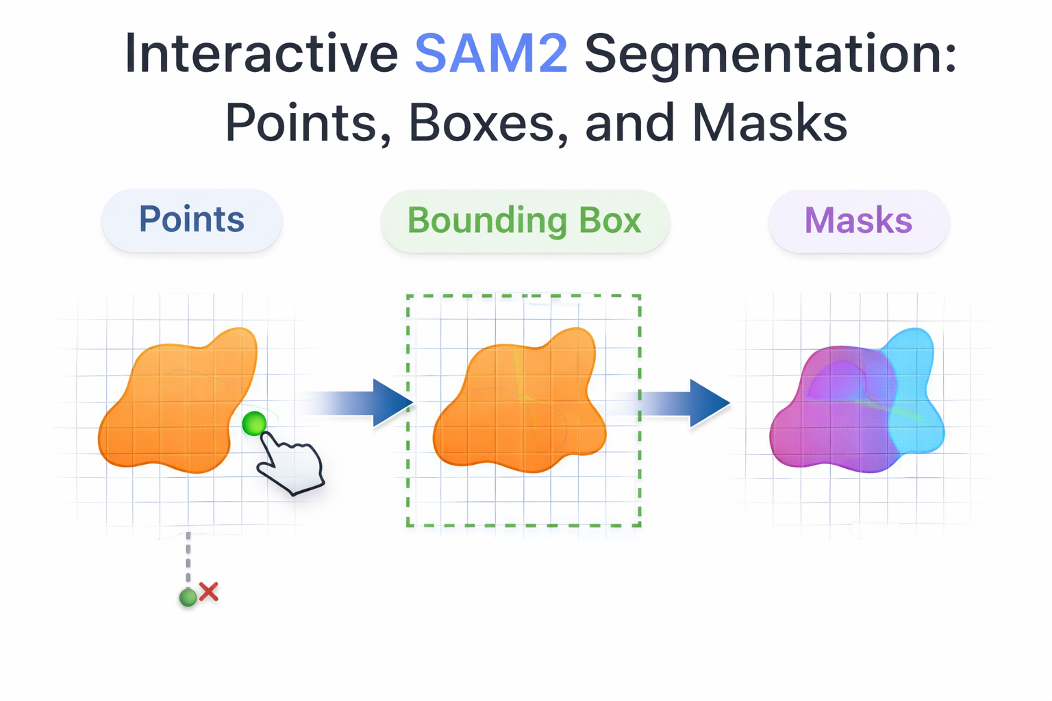 SAM2 Tutorial: Interactive Segmentation With Points & Boxes
