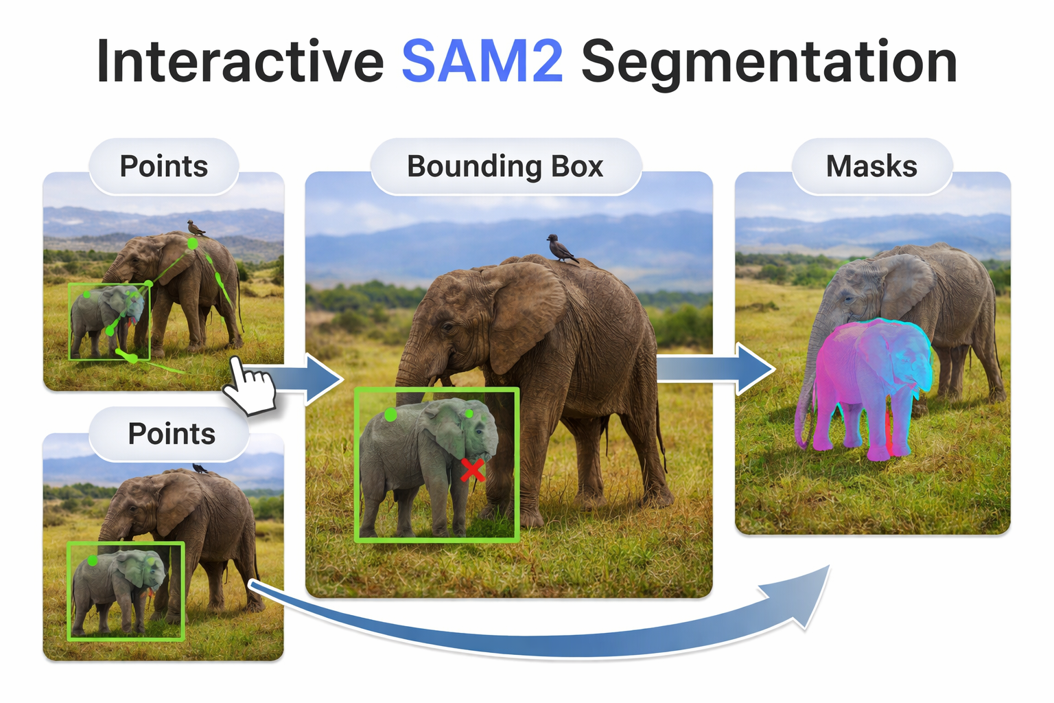 Interactive Segmentation Point SAM2 Tutorial: Interactive Segmentation With Points & Boxes
