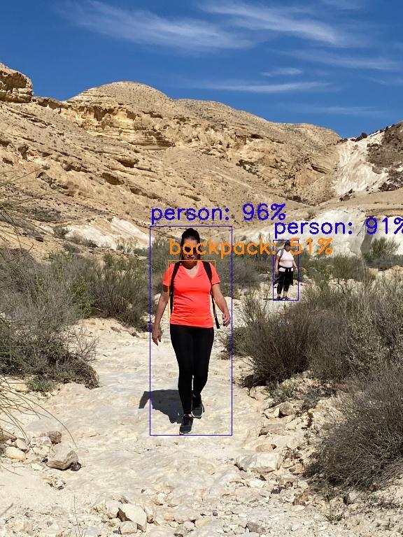 40 Models In 1 Script: TensorFlow 2 Object Detection Tutorial