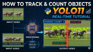 Eran Feit : Computer-Vision Hub 11 How to Track and Count Objects Using YOLO11