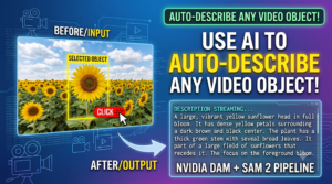 Eran Feit : Computer-Vision Hub 2 Describe Anything-Use AI to Auto-Describe Any Video Object!